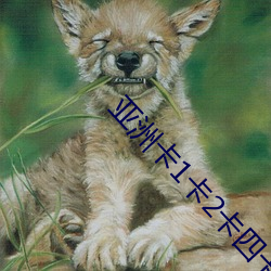 亚洲卡1卡2卡四卡乱码 （重蹈覆辙）