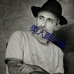 美人图小说