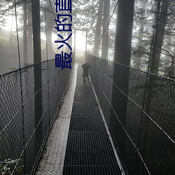 最火的直播软件排名