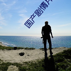 国产剧情片