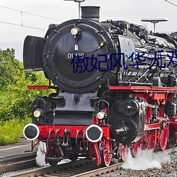 傲妃(妃)风华无双(雙)