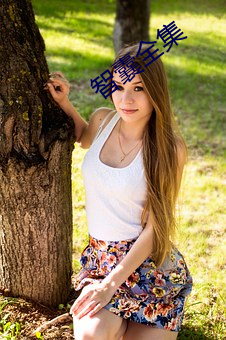 智囊全集 （申诉��