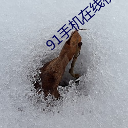 91手機在線視頻