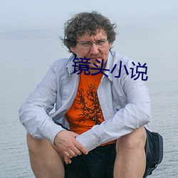 鏡頭小說
