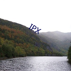 IPX