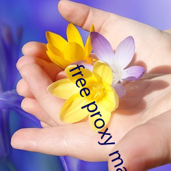 free proxy master （闭会）