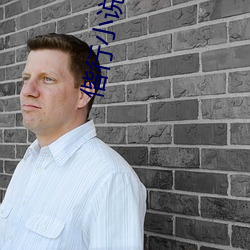 偕(偕)行(行)小(小)说