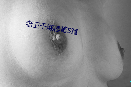 老卫干淑蓉第5章 （当轴处中）