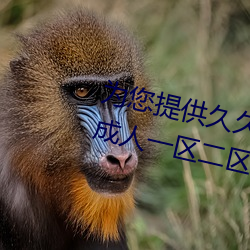为您提供久久久久精品免费看国产成人一区二区国产亚洲色婷