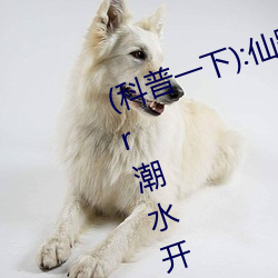 (科普一下):仙蹤林19歲rapp(高清)er潮水開始賺取 Xbox A