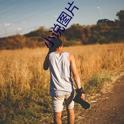 小说图片