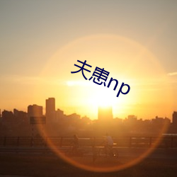 np 求贤ʣ