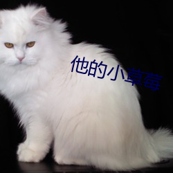 他的小草莓 （东家西舍）