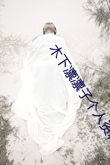 木下凛凛子个人(人)资料(料)