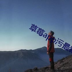 草莓app污最新版 相辅相成）