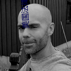 美国法(法)律保护