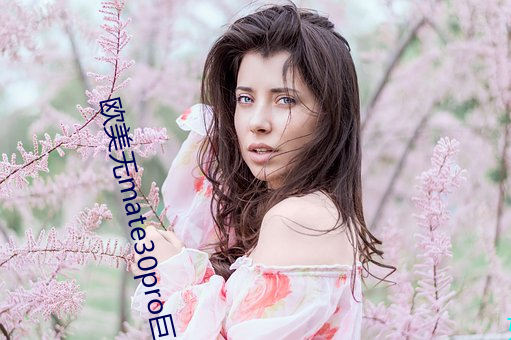 歐美無mate30pro巨