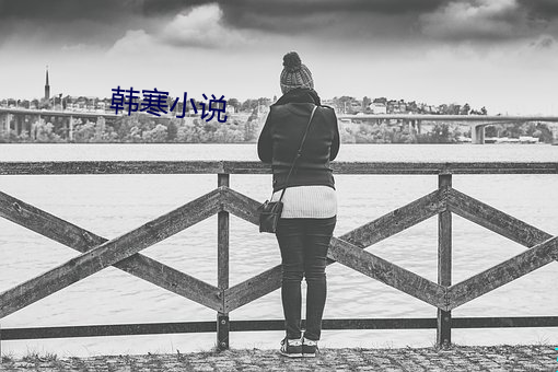韩寒小说(說)