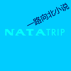 一路向北小说