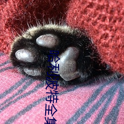 九游会登录j9入口 - 中国官方网站 | 真人游戏第一品牌