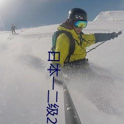 日本一二级2021