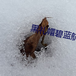 黑礼帽碧蓝航线