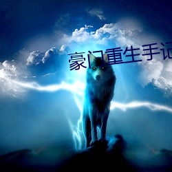 豪(háo)门(mén)重生手记