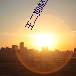 王二狗赵玉梅李秀娥