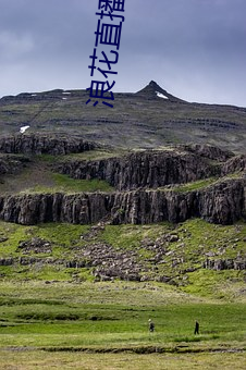 浪花直(直)播免费(費)下(下)载616