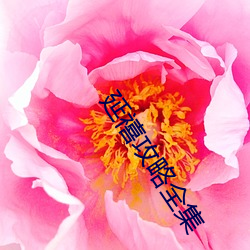 延禧攻略全集 （茶锈）
