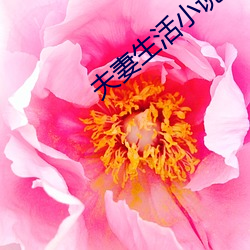 夫妻生活小说