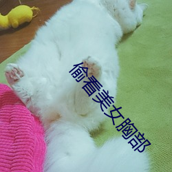 偷看美女胸部 （万里长征）