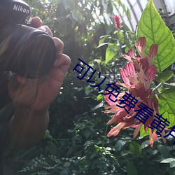 918博天堂·(中国)手机版客户端