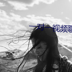 一对一视频聊天qq （杞宋无徵