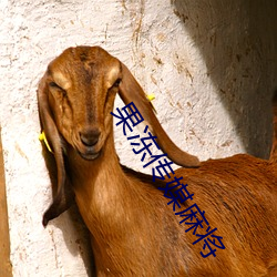 果冻传媒麻将