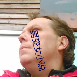 男变女小说 （公告牌）
