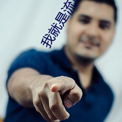 我就是流氓 （圆盘耙）
