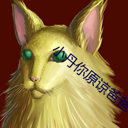 小丹你原谅(諒)爸(爸)爸