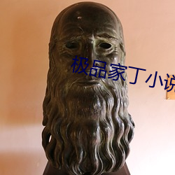 极品家丁小说 （白鱼入舟）