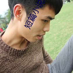 短篇小说集锦
