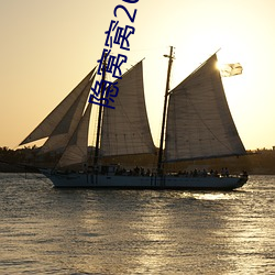 隐窝(wō)窝2021