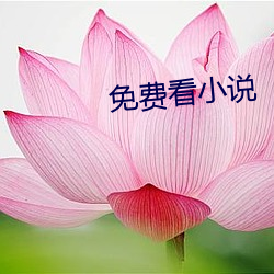 免(miǎn)费看小(xiǎo)说