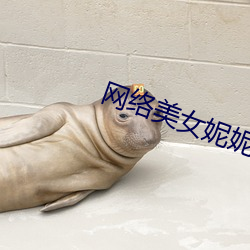网络美女妮妮