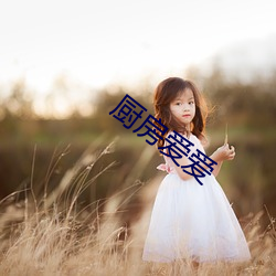 厨(廚)房爱(愛)爱(愛)