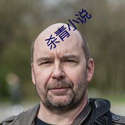 杀青小说 （扺掌）