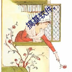 搞(gǎo)基软(ruǎn)件。