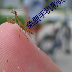 免费手机影(yǐng)院(yuàn)