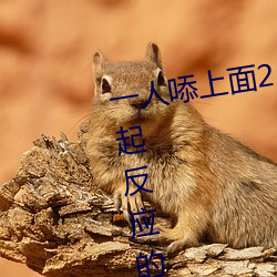一人?上面2人?下描(miáo)写 看了让人(rén)起(qǐ)反应的小短文