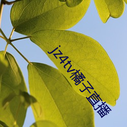 jz4tv橘子直播
