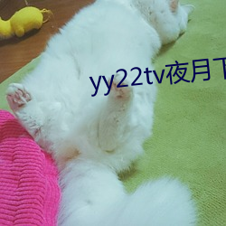 yy22tv夜月下載